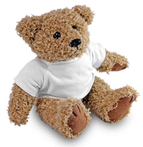 Teddy Beer (18cm)